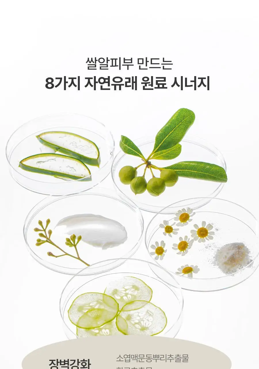 [쌀겨수/속보습개선] 풀리 쌀 반죽 모델링 마스크 4개입 상세페이지 29